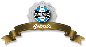 Гремио - чемпион Бразилии 1981 года